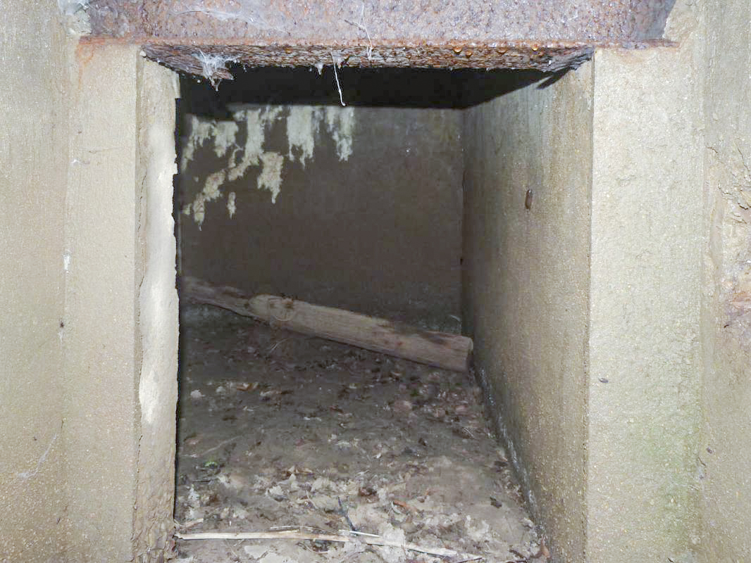 Ligne Maginot - B820 - LA TAILLE COLIN - (Observatoire d'infanterie) - 