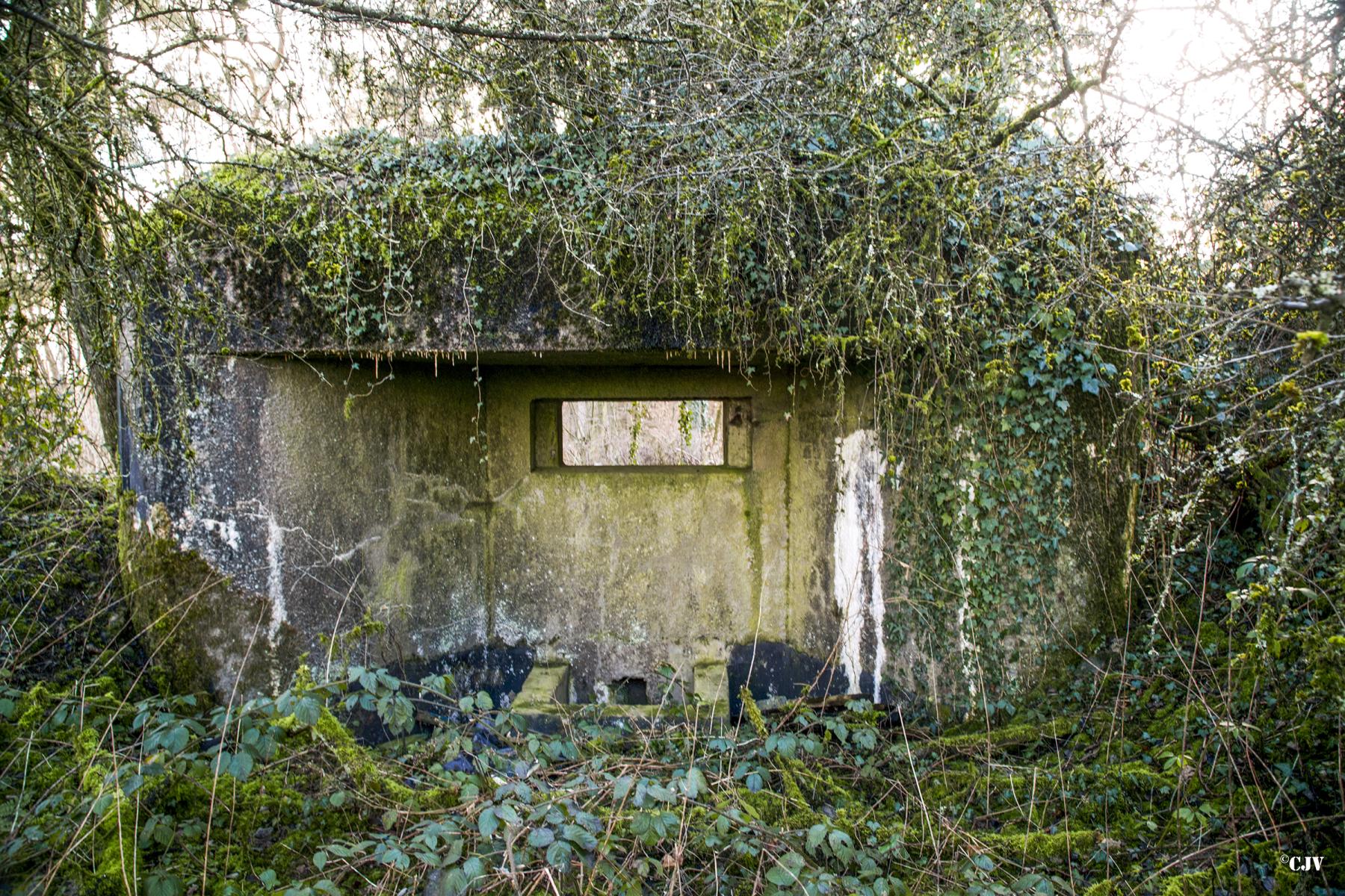 Ligne Maginot - B819 - BEAUWELTZ - (Blockhaus pour canon) - 