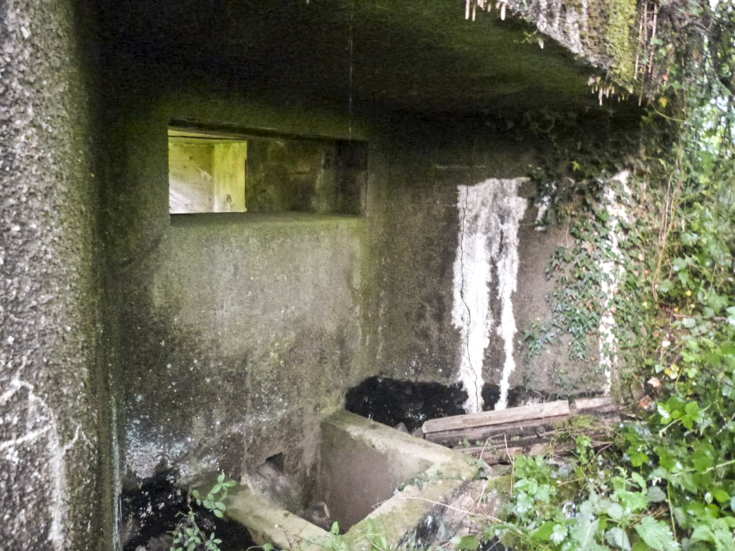 Ligne Maginot - B819 - BEAUWELTZ - (Blockhaus pour canon) - 