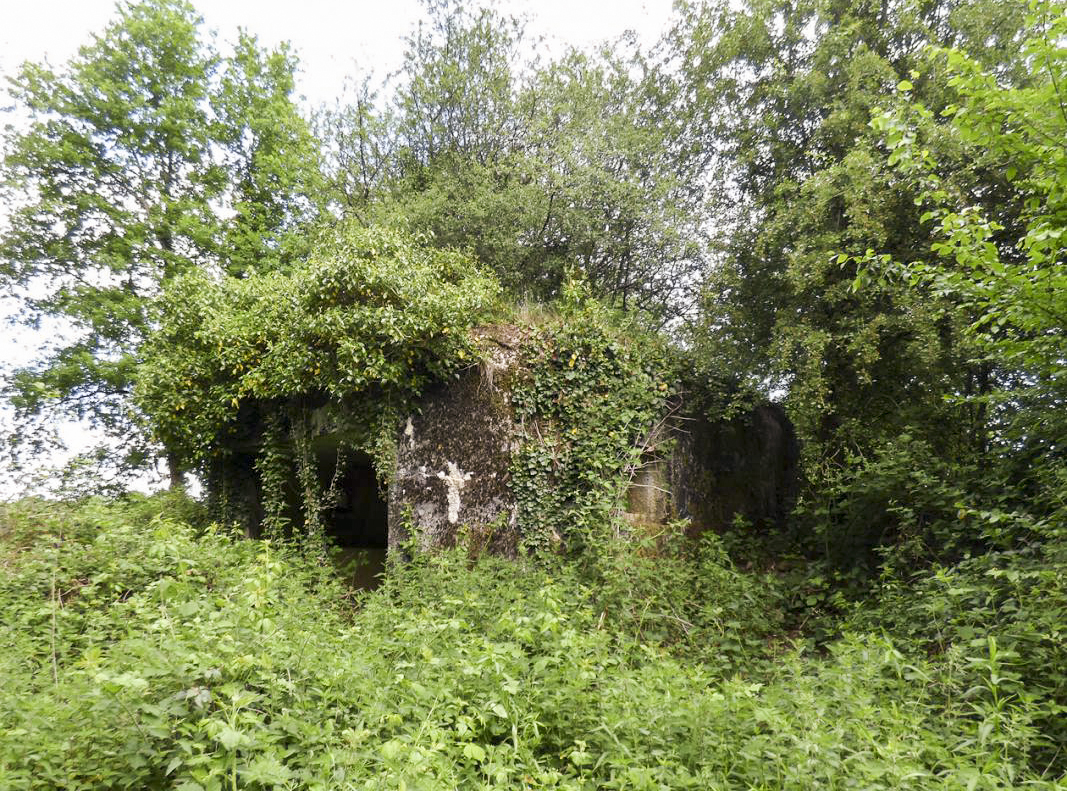 Ligne Maginot - B819 - BEAUWELTZ - (Blockhaus pour canon) - 