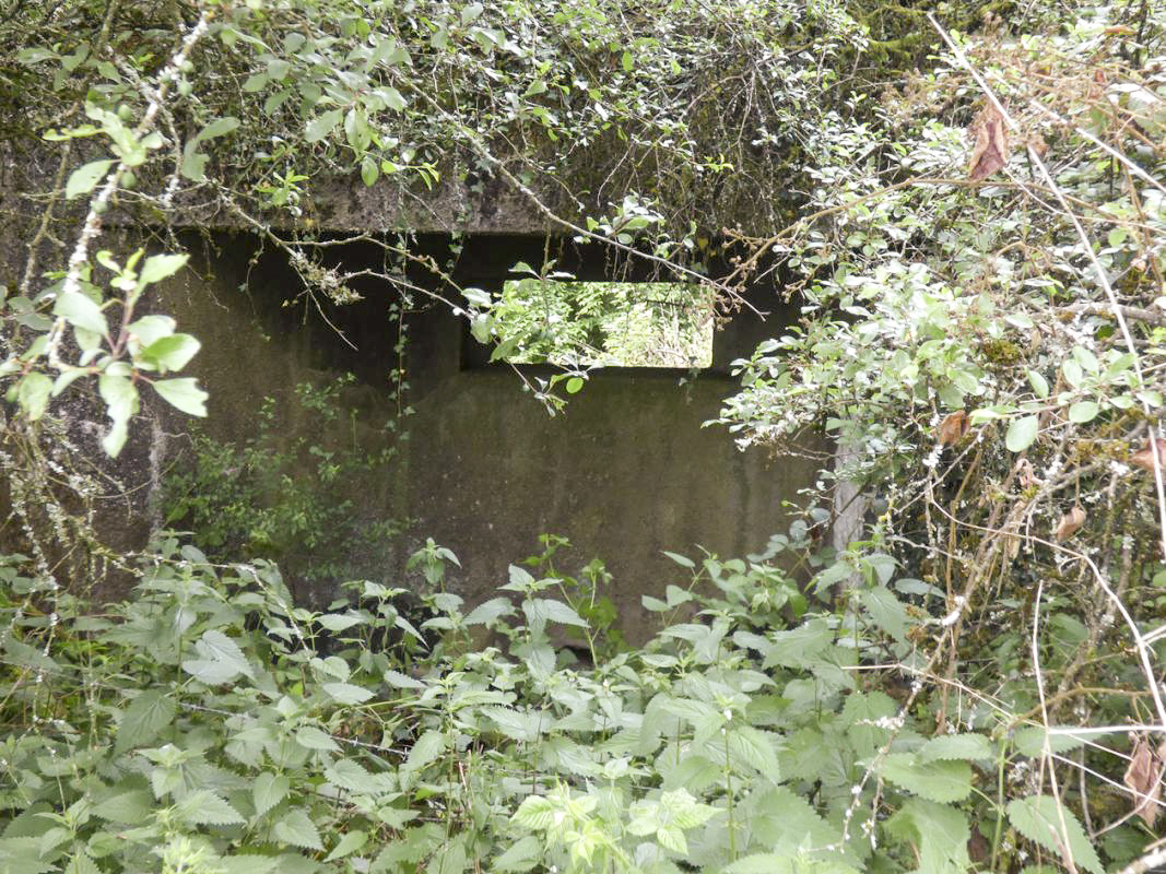 Ligne Maginot - B819 - BEAUWELTZ - (Blockhaus pour canon) - 