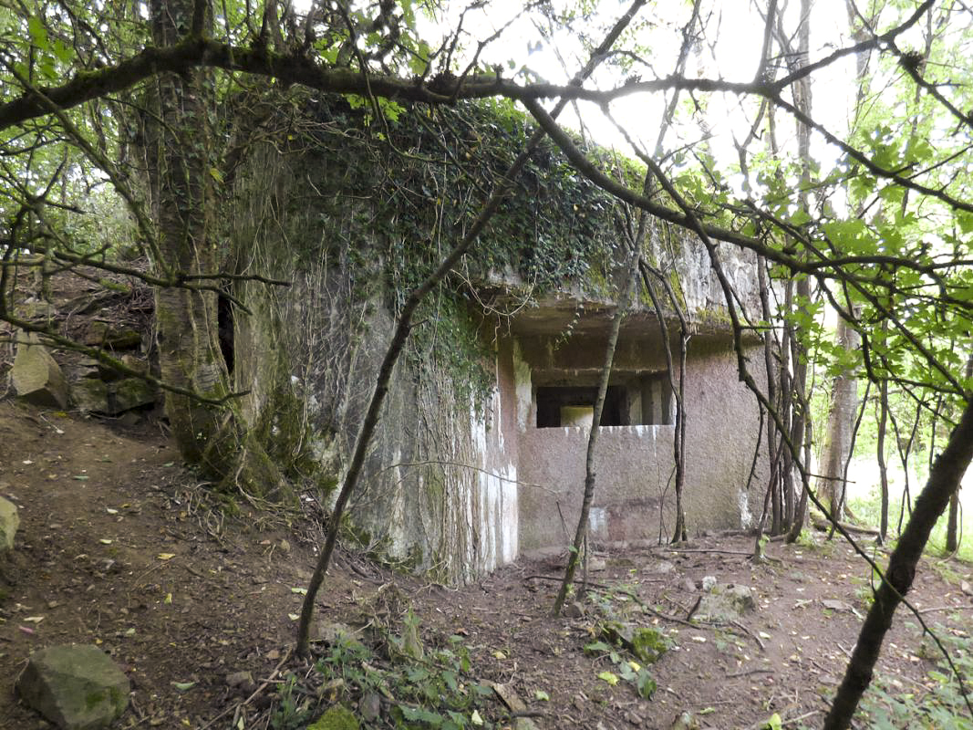 Ligne Maginot - B818 - LA TAILLE LAMBEAUX - (Blockhaus pour canon) - Flanquement gauche