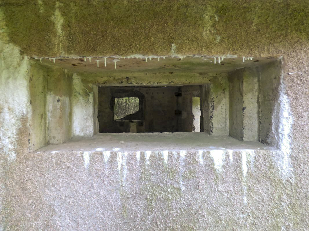 Ligne Maginot - B818 - LA TAILLE LAMBEAUX - (Blockhaus pour canon) - Flanquement gauche
Embrasure pour canon 25AC