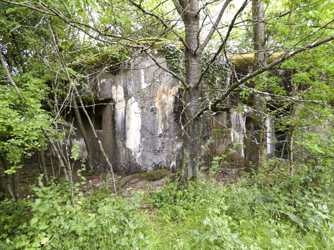 Ligne Maginot - B818 - LA TAILLE LAMBEAUX - (Blockhaus pour canon) - Entre flanquement gauche et entrées
