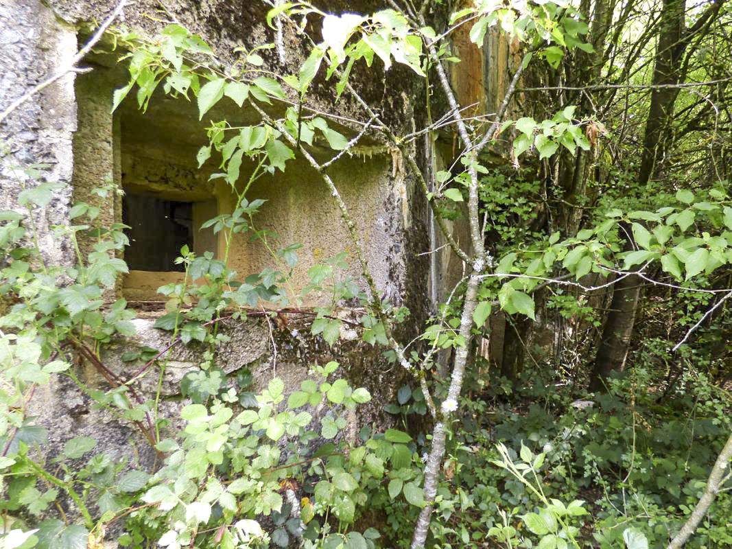 Ligne Maginot - B818 - LA TAILLE LAMBEAUX - (Blockhaus pour canon) - Embrasure FM
La position de tir se situe dans le couloir de l'entrée des hommes - JMBrams