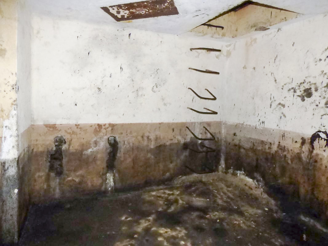 Ligne Maginot - B818 - LA TAILLE LAMBEAUX - (Blockhaus pour canon) - Niveau inférieur
Premier local - JMBrams