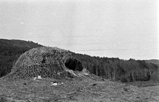 Ligne Maginot - HOCHWALD - (Ouvrage d'artillerie) - Bloc 3
Cloche GFM camoufléee
