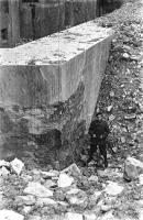 Ligne Maginot - HOCHWALD - (Ouvrage d'artillerie) - Bloc 12
Casemate d'artillerie
Les abords du bloc après les combats