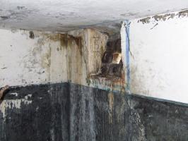 Ligne Maginot - LIEDERSCHIEDT - MAISON FORTE - (Poste GRM - Maison Forte) - Le créneaux N°5 qui flanque la pente.