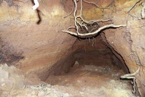 Ligne Maginot - GALGENBERG SUD - (Abri) - Abris à proximité