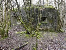 Ligne Maginot - B767 - MAISON FORESTIERE DE LA FOLIE - (Blockhaus pour canon) - 