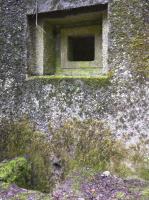 Ligne Maginot - B767 - MAISON FORESTIERE DE LA FOLIE - (Blockhaus pour canon) - 