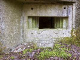 Ligne Maginot - B767 - MAISON FORESTIERE DE LA FOLIE - (Blockhaus pour canon) - 