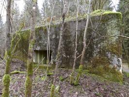 Ligne Maginot - B767 - MAISON FORESTIERE DE LA FOLIE - (Blockhaus pour canon) - 