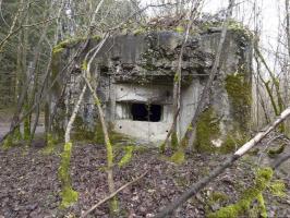 Ligne Maginot - B767 - MAISON FORESTIERE DE LA FOLIE - (Blockhaus pour canon) - 