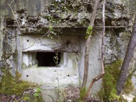 Ligne Maginot - B767 - MAISON FORESTIERE DE LA FOLIE - (Blockhaus pour canon) - 