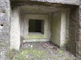 Ligne Maginot - B767 - MAISON FORESTIERE DE LA FOLIE - (Blockhaus pour canon) - 