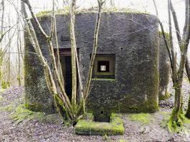 Ligne Maginot - B767 - MAISON FORESTIERE DE LA FOLIE - (Blockhaus pour canon) - 