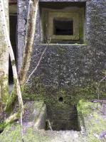 Ligne Maginot - B767 - MAISON FORESTIERE DE LA FOLIE - (Blockhaus pour canon) - 