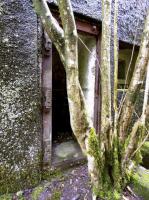Ligne Maginot - B767 - MAISON FORESTIERE DE LA FOLIE - (Blockhaus pour canon) - 