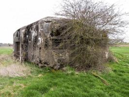 Ligne Maginot - B782 - MORANRIEUX SUD - (Blockhaus pour canon) - 