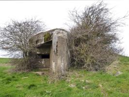 Ligne Maginot - B782 - MORANRIEUX SUD - (Blockhaus pour canon) - 