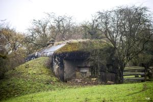 Ligne Maginot - B790 - CHANT DES OISEAUX - (Blockhaus pour canon) - 