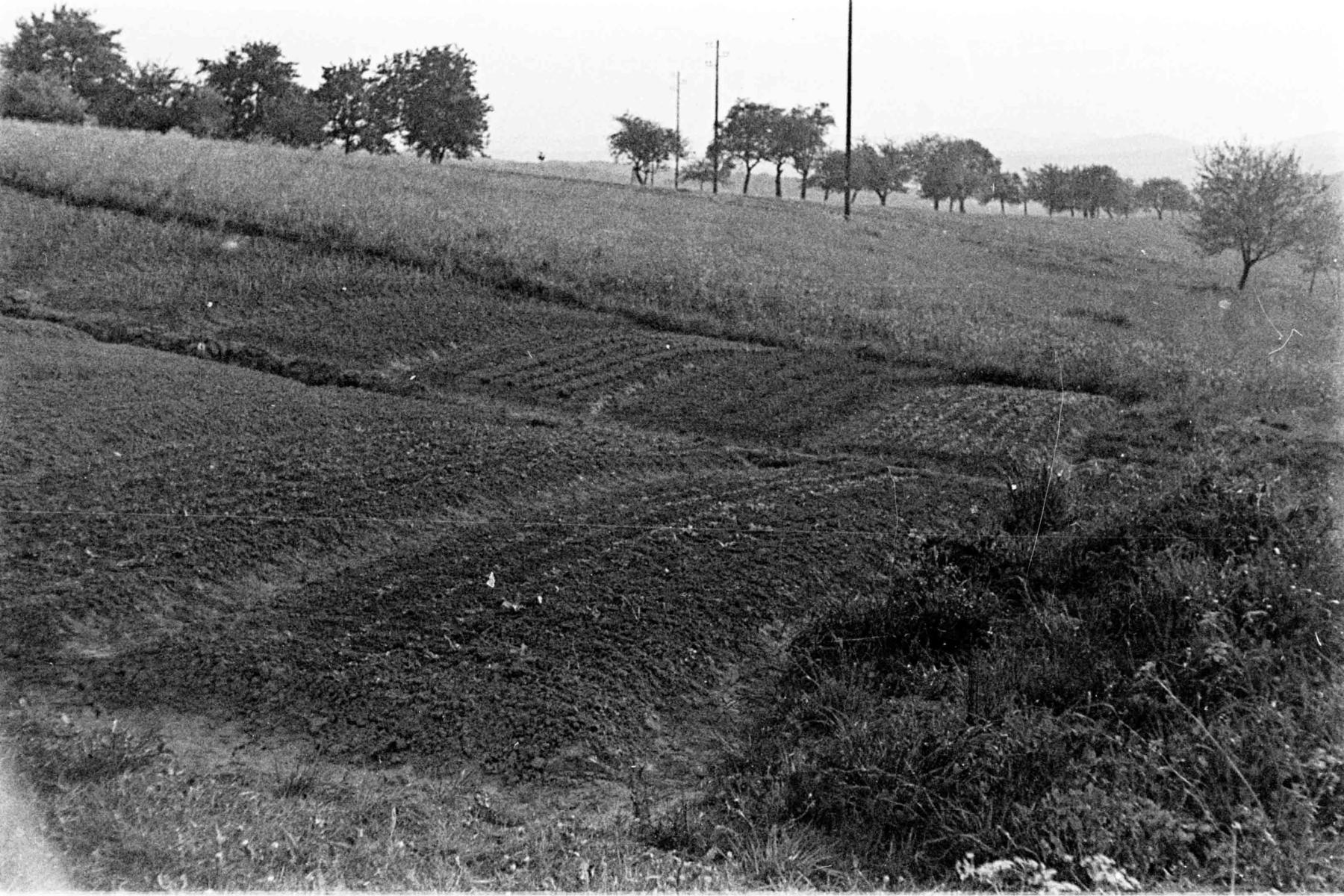 Ligne Maginot - HOCHWALD - (Ouvrage d'artillerie) - Plantations sur les avants de l'ouvrage, coté ouest - Albert HAAS