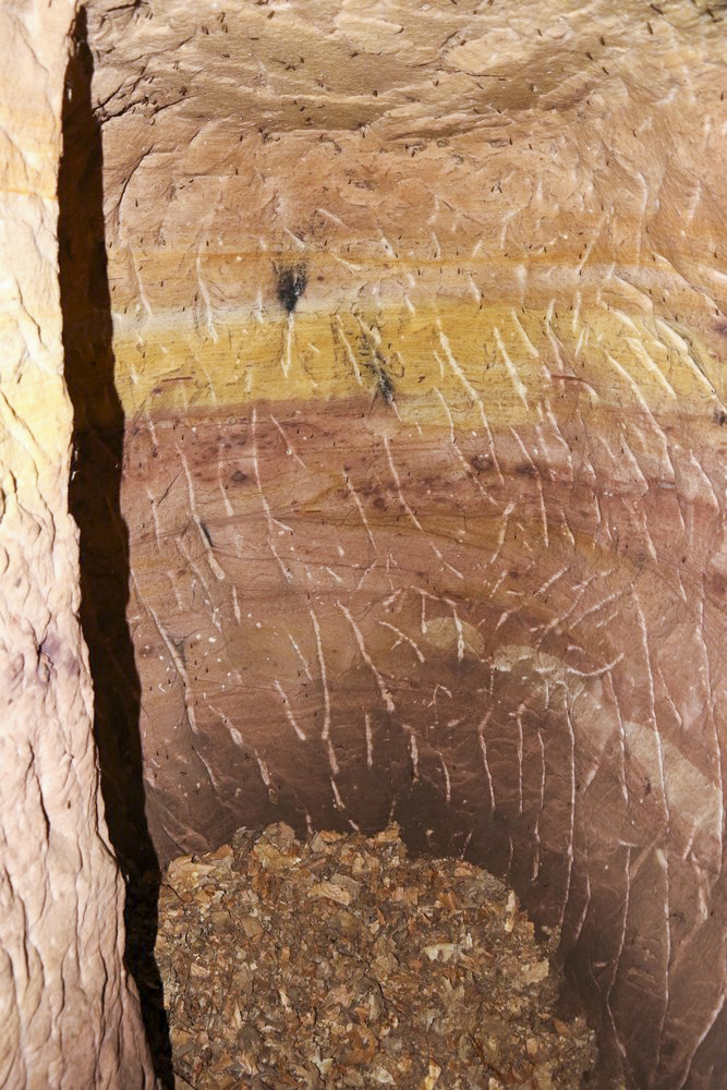 Ligne Maginot - GALGENBERG SUD-EST - (Abri) - Le petit local - Alain Perouffe