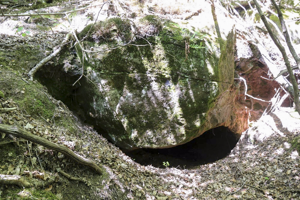 Ligne Maginot - GALGENBERG SUD - (Abri) - Abris à proximité - Alain Perouffe
