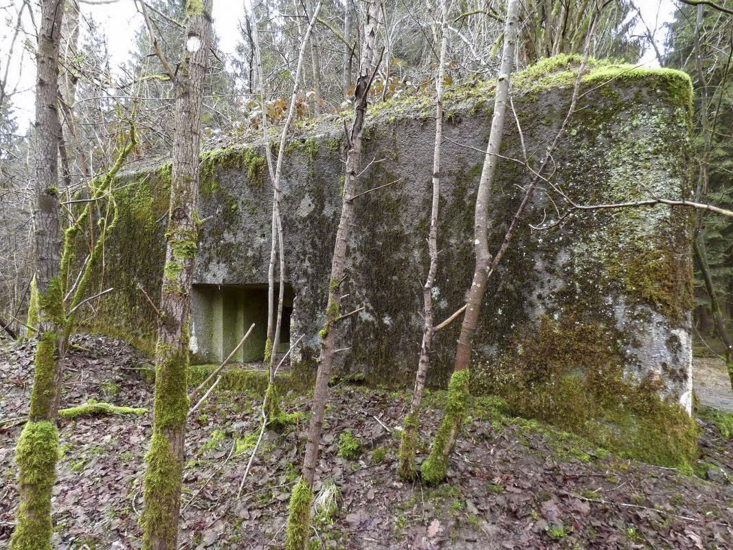 Ligne Maginot - B767 - MAISON FORESTIERE DE LA FOLIE - (Blockhaus pour canon) - 