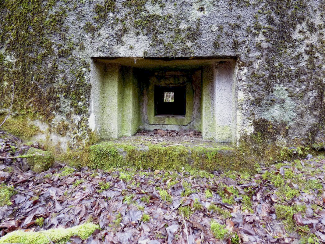 Ligne Maginot - B767 - MAISON FORESTIERE DE LA FOLIE - (Blockhaus pour canon) - 