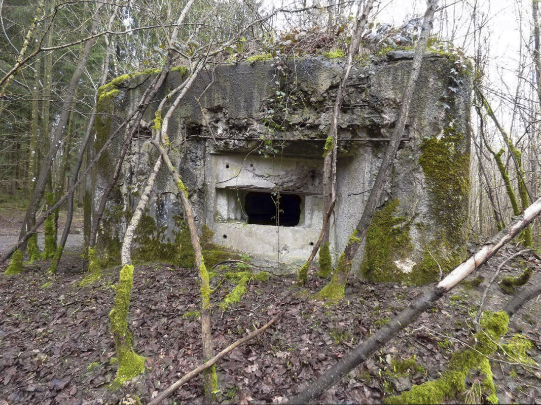 Ligne Maginot - B767 - MAISON FORESTIERE DE LA FOLIE - (Blockhaus pour canon) - 