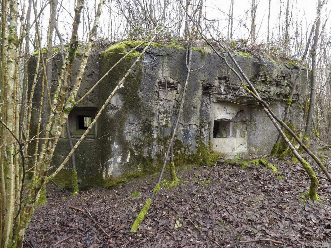 Ligne Maginot - B767 - MAISON FORESTIERE DE LA FOLIE - (Blockhaus pour canon) -  - JMBrams