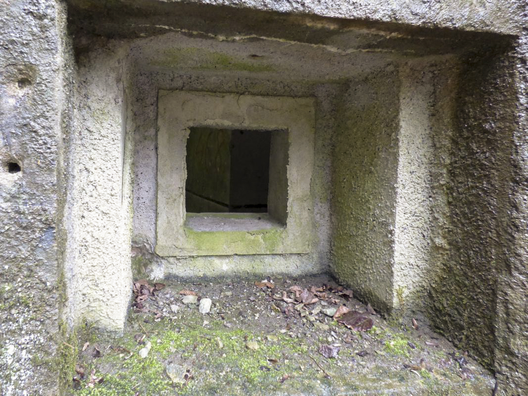Ligne Maginot - B767 - MAISON FORESTIERE DE LA FOLIE - (Blockhaus pour canon) - 