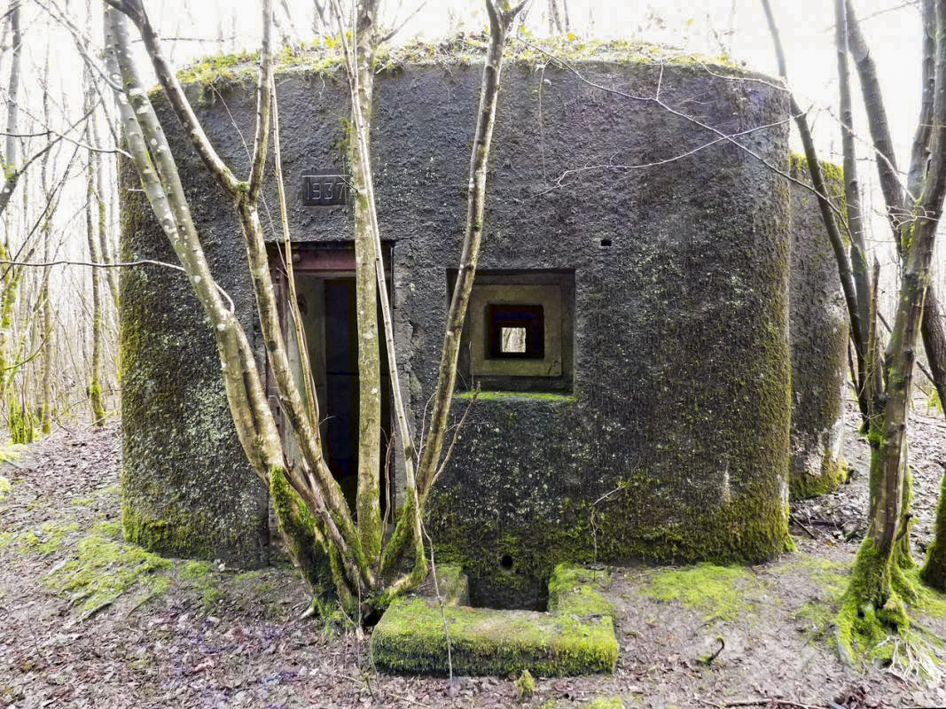 Ligne Maginot - B767 - MAISON FORESTIERE DE LA FOLIE - (Blockhaus pour canon) - 