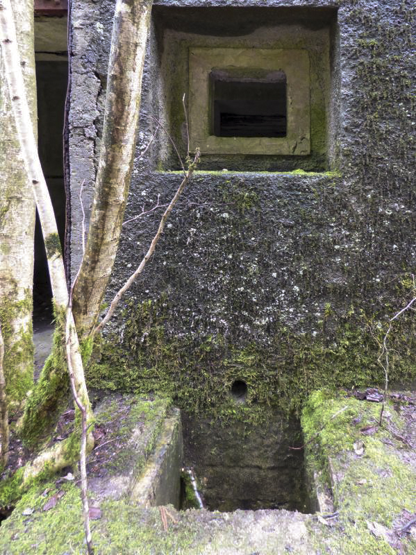 Ligne Maginot - B767 - MAISON FORESTIERE DE LA FOLIE - (Blockhaus pour canon) - 