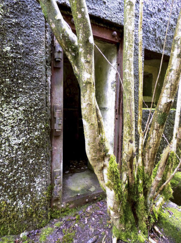 Ligne Maginot - B767 - MAISON FORESTIERE DE LA FOLIE - (Blockhaus pour canon) - 