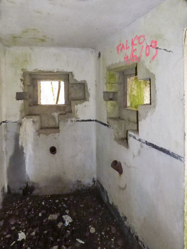 Ligne Maginot - B767 - MAISON FORESTIERE DE LA FOLIE - (Blockhaus pour canon) - 