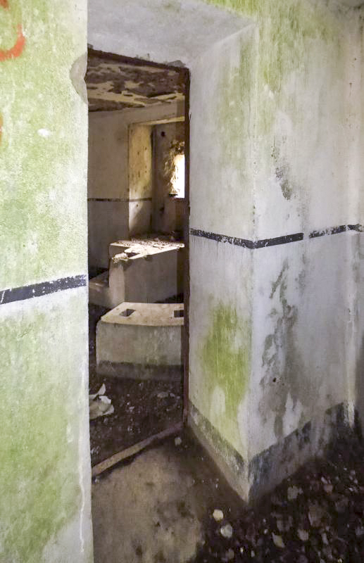 Ligne Maginot - B767 - MAISON FORESTIERE DE LA FOLIE - (Blockhaus pour canon) - 
