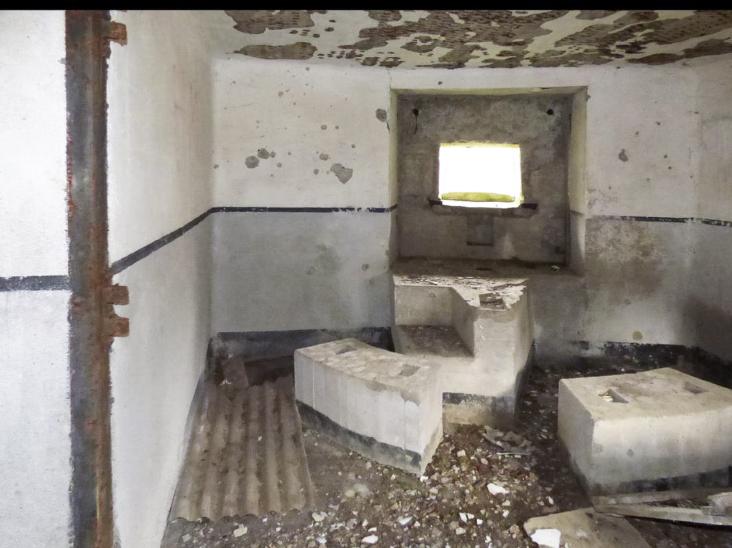 Ligne Maginot - B767 - MAISON FORESTIERE DE LA FOLIE - (Blockhaus pour canon) - 