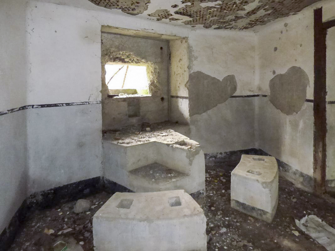 Ligne Maginot - B767 - MAISON FORESTIERE DE LA FOLIE - (Blockhaus pour canon) - 