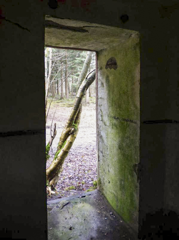 Ligne Maginot - B767 - MAISON FORESTIERE DE LA FOLIE - (Blockhaus pour canon) - 