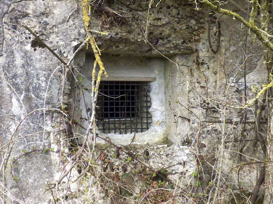 Ligne Maginot - B777 - FERME DELANNOY - (Blockhaus pour canon) - 