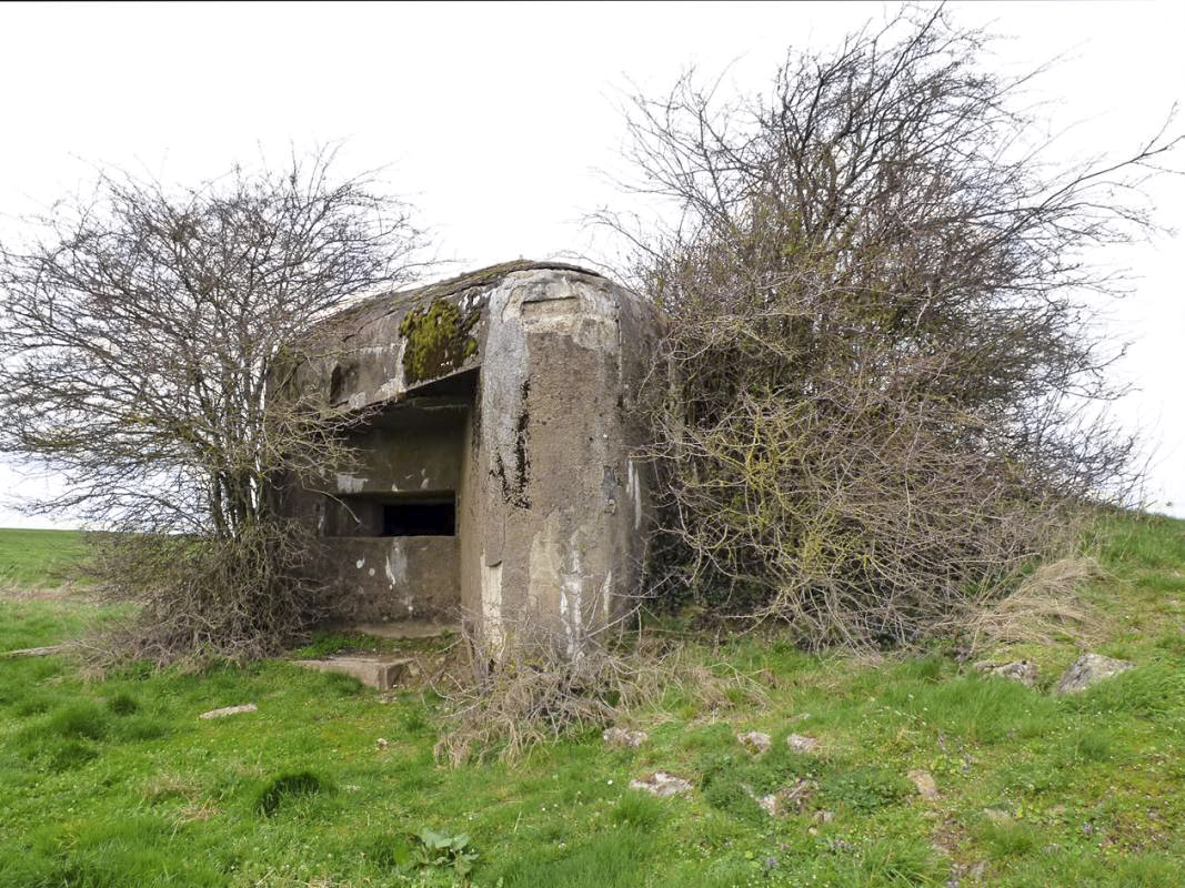 Ligne Maginot - B782 - MORANRIEUX SUD - (Blockhaus pour canon) -  - JMBrams