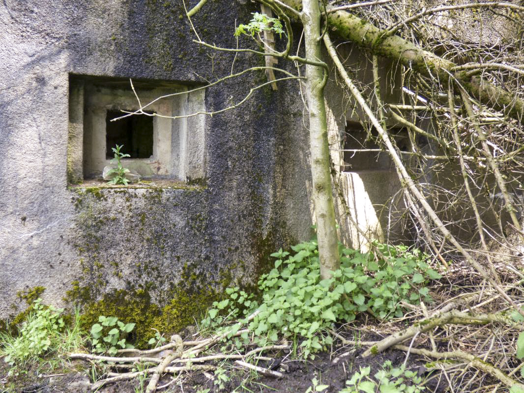 Ligne Maginot - B789 - LA MARLIERE - (Blockhaus pour canon) -  - JMBrams