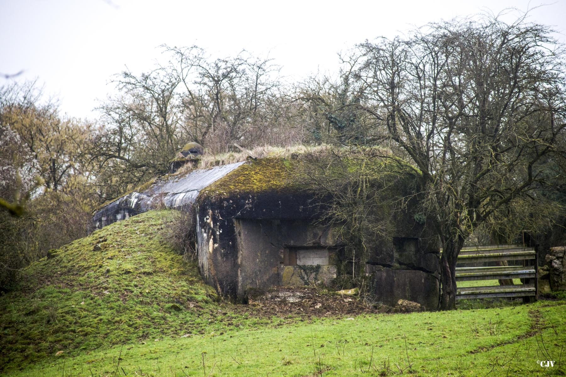 Ligne Maginot - B790 - CHANT DES OISEAUX - (Blockhaus pour canon) - 