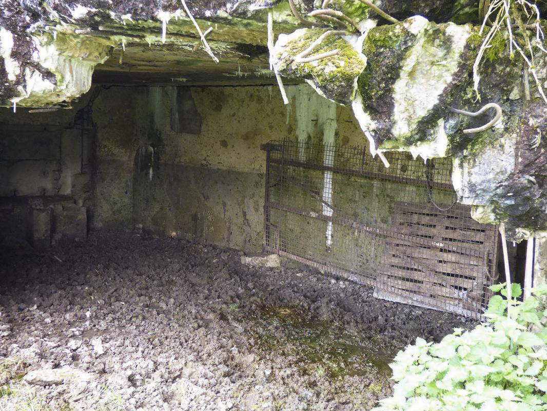 Ligne Maginot - B790 - CHANT DES OISEAUX - (Blockhaus pour canon) - 
