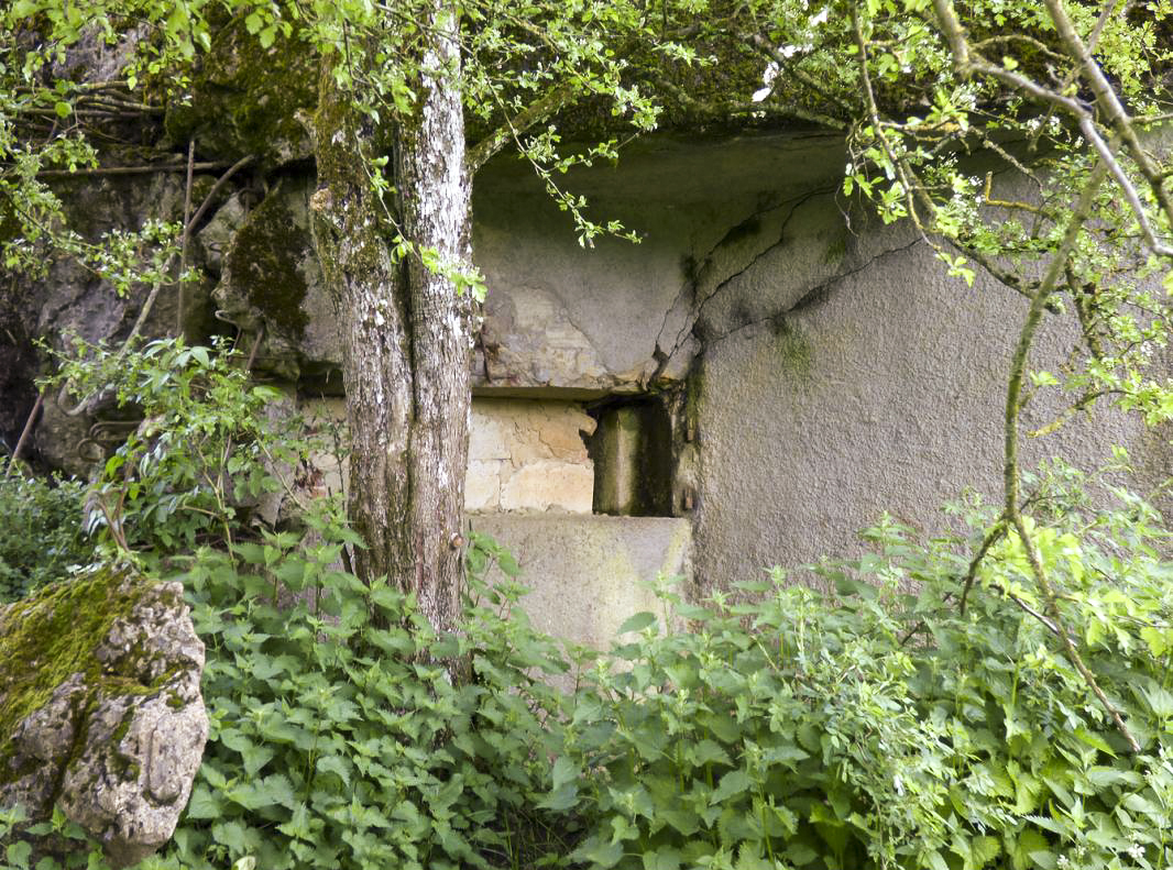 Ligne Maginot - B790 - CHANT DES OISEAUX - (Blockhaus pour canon) - 