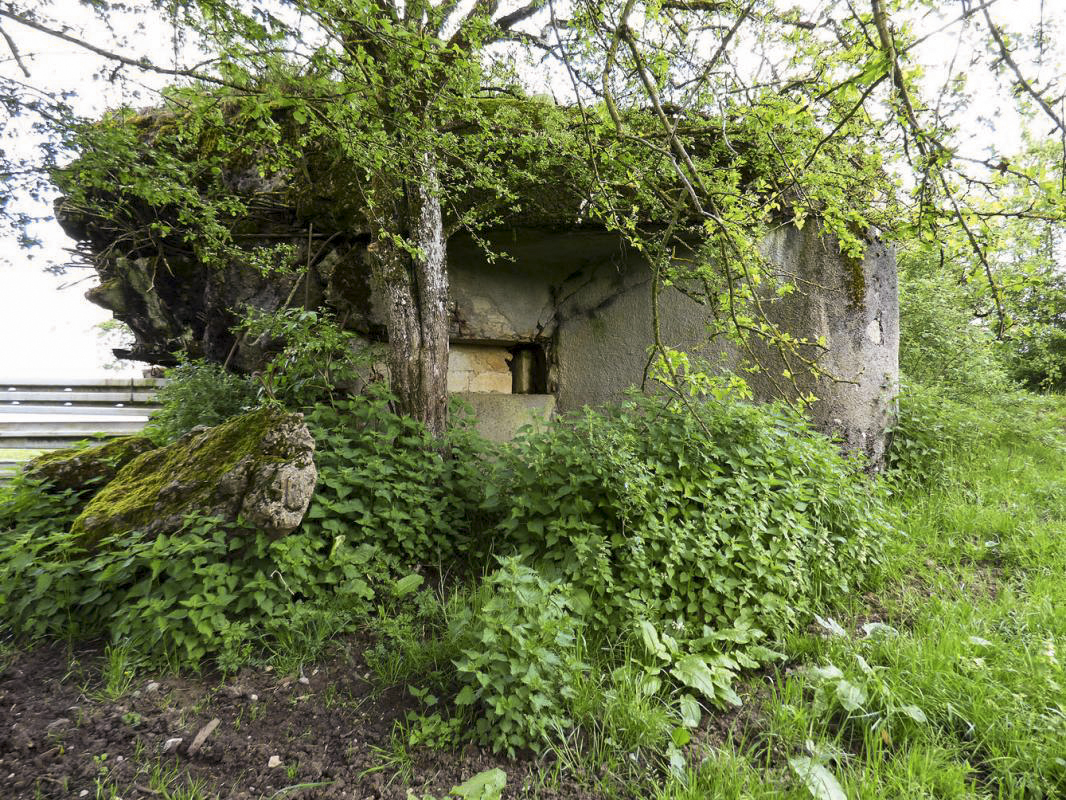 Ligne Maginot - B790 - CHANT DES OISEAUX - (Blockhaus pour canon) - 